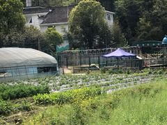 -景德镇陶瓷大学(湘湖校区)