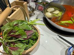 -王奋斗贵州酸汤牛肉火锅