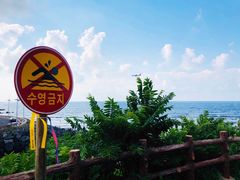 -龙头岩(Dragon Head Rock)
