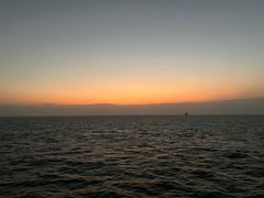 -海安新港(公交站)