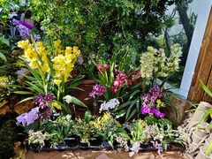 -国家植物园南园