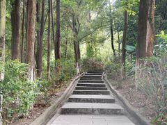 -火炉山森林公园