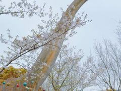 -自然谷恐龙园