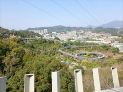 -福道
