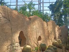 -祥源·阜阳生态乐园