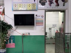 -利又安动物医院··老年病·猫科犬科·中兽医