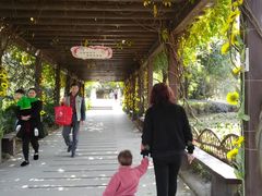 -白马涧龙池景区