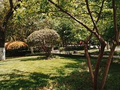 -渭河城市绿地运动公园