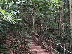 -武吉知马自然保护区