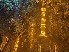 -万泉公园