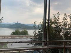-望湖烤鱼
