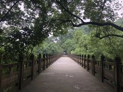 -南山植物园