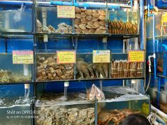 -蚝专家(北滘店)