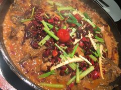 -老板恋上鱼(高新万达店)