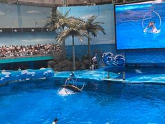 -海合安成都极地海洋公园