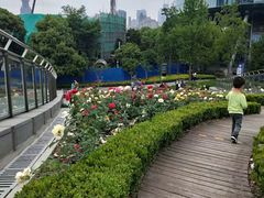 -北外滩滨江绿地