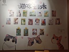 -MOCHA明星猫咖(田子坊店)