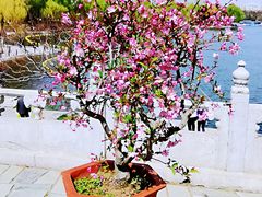 -陶然亭公园