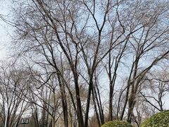 -和平区健康主题公园