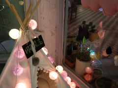 内有猛虎-有猫主题·治愈系猫咖(曾厝垵店)