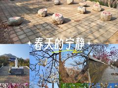 -石老人观光园