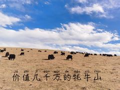-折多山