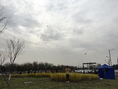 -洨河生态公园