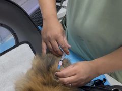 -达爱动物医院·犬猫分区·CT·复杂眼科(远洋山水分院)