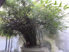 -乌镇东栅景区-茅盾故居