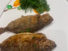 -大东海海鲜酒楼(渔人码头总店)