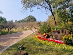 -玉树公园