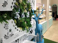 -苏小糖(鼓浪屿三丘田花园店)