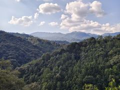 -九龙江国家森林公园