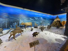 -呼伦贝尔民族博物馆