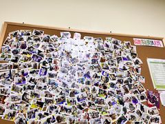 -美联众合动物医院·24h转诊中心