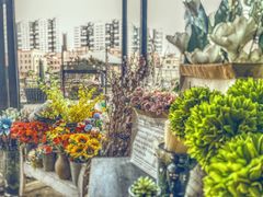 -24H COLOR咖啡厅(惠州金山湖店)