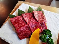 -炼火烤肉店