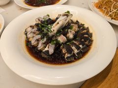 豉汁白鳝-华盛丰温州大排档(东三环南路店)