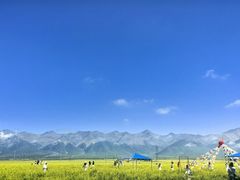 -扁都口生态休闲旅游区