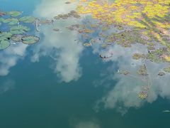 -云溪植物园