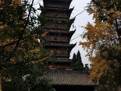 -常熟方塔园