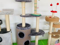 -中环花鸟鱼虫市场