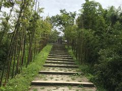 -江南天池