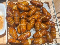 -鸽子窝(青塔店)