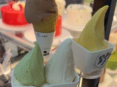 -野人先生现做冰淇淋(北京环宇荟店)