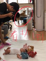 -DeerFriend童趣主题上门拍·到家·外拍摄影机构 (国贸店)