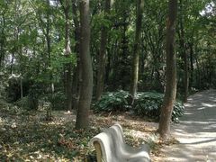 -紫霞湖公园