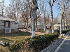 -九十九顶毡房(阜石路店)