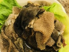 -朱氏胖子烂火锅(洪崖洞店)