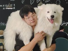 -安格丽娜·狗咖·猫咖羊驼咖(春熙路百盛商场店)